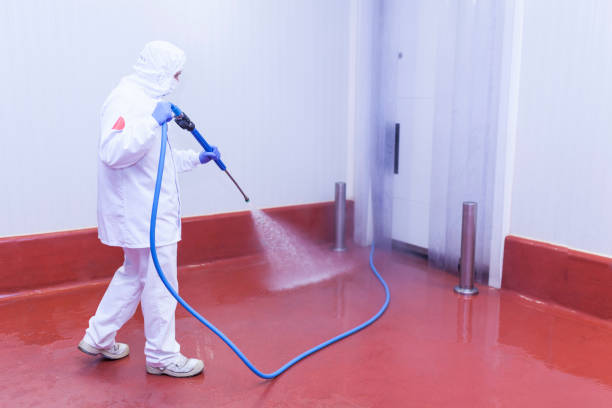 Best Soft Washing for Delicate Surfaces in Ridgeland, MS