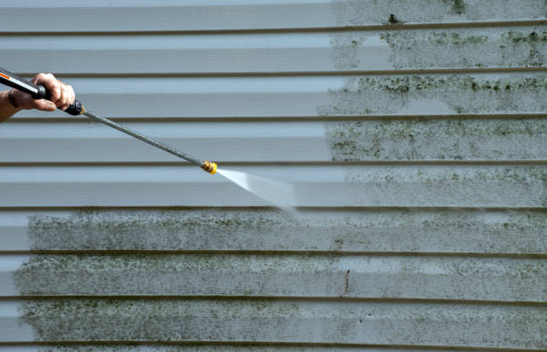 Best Deck and Patio Pressure Washing in Ridgeland, MS